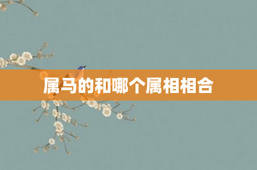 属马的和哪个属相相合