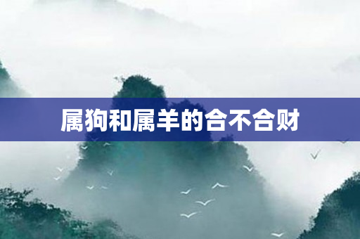 属狗和属羊的合不合财