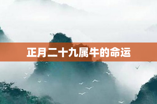 正月二十九属牛的命运