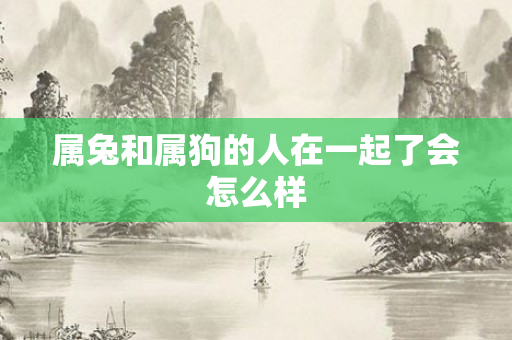 属兔和属狗的人在一起了会怎么样