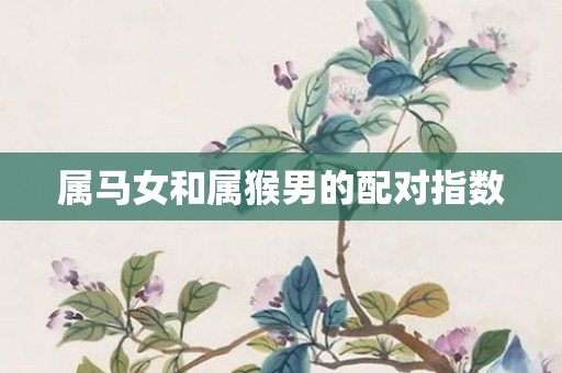 属马女和属猴男的配对指数