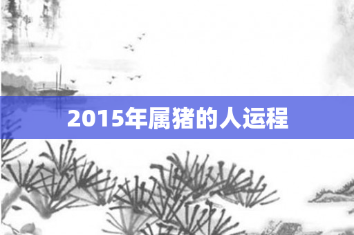 2015年属猪的人运程