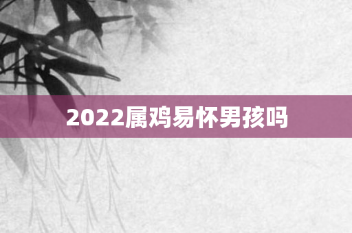 2022属鸡易怀男孩吗