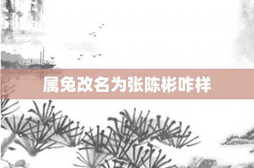 属兔改名为张陈彬咋样