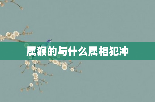 属猴的与什么属相犯冲