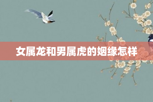 女属龙和男属虎的姻缘怎样