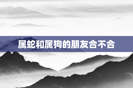 属蛇和属狗的朋友合不合