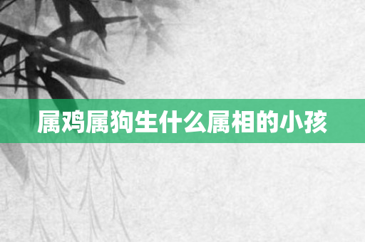 属鸡属狗生什么属相的小孩