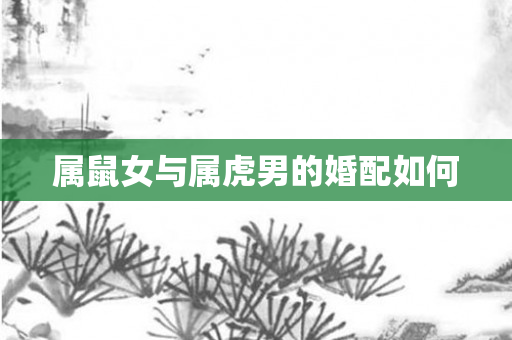 属鼠女与属虎男的婚配如何