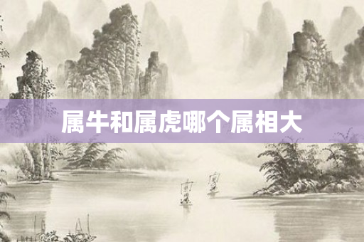 属牛和属虎哪个属相大