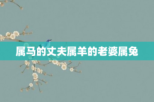 属马的丈夫属羊的老婆属兔