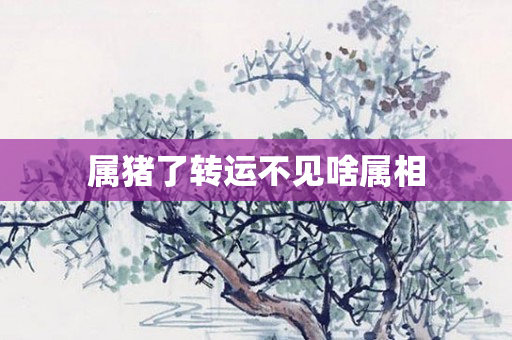 属猪了转运不见啥属相
