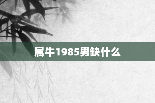 属牛1985男缺什么