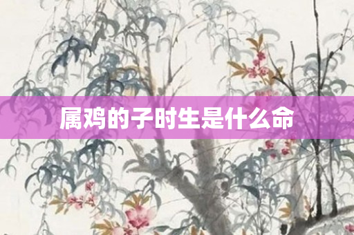 属鸡的子时生是什么命