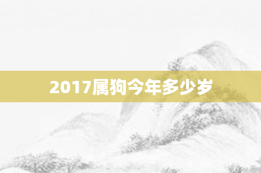 2017属狗今年多少岁