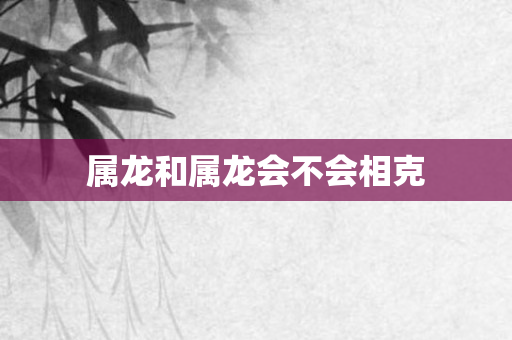 属龙和属龙会不会相克