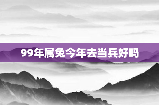 99年属兔今年去当兵好吗