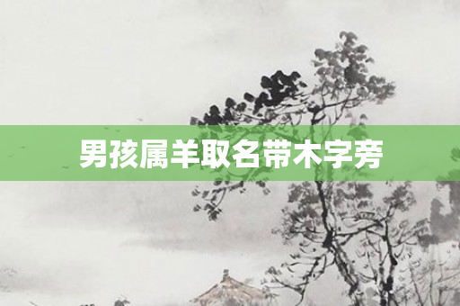 男孩属羊取名带木字旁