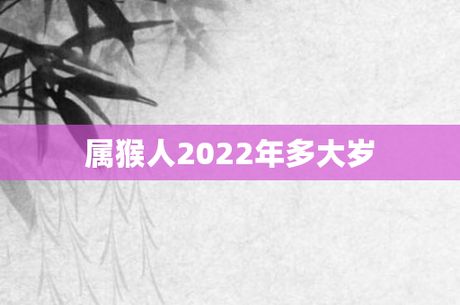 属猴人2022年多大岁