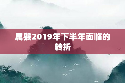 属猴2019年下半年面临的转折