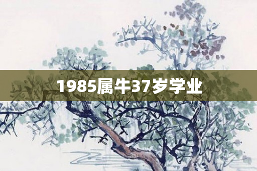1985属牛37岁学业