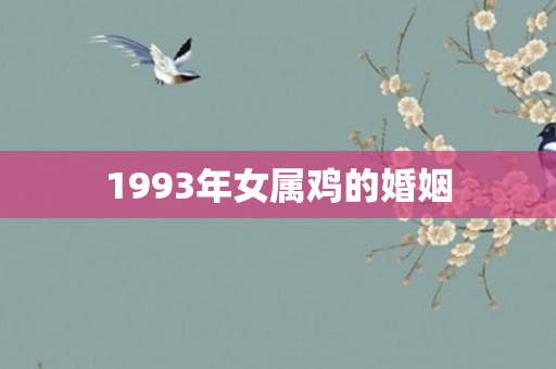1993年女属鸡的婚姻