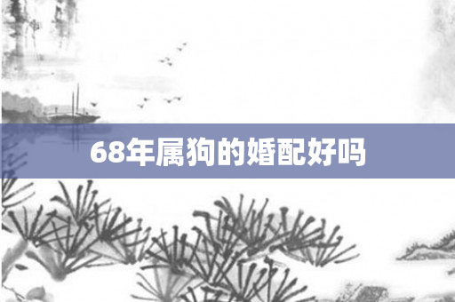 68年属狗的婚配好吗