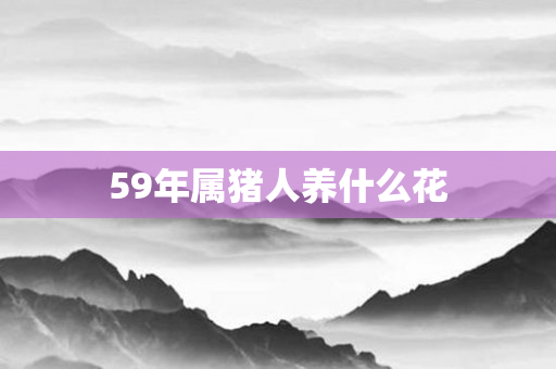 59年属猪人养什么花