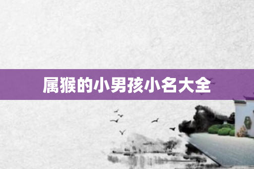 属猴的小男孩小名大全
