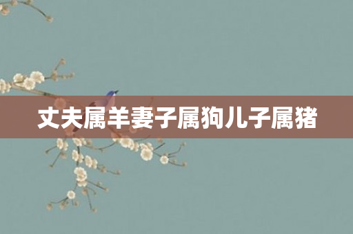 丈夫属羊妻子属狗儿子属猪