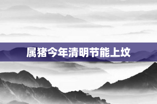 属猪今年清明节能上坟