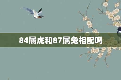 84属虎和87属兔相配吗