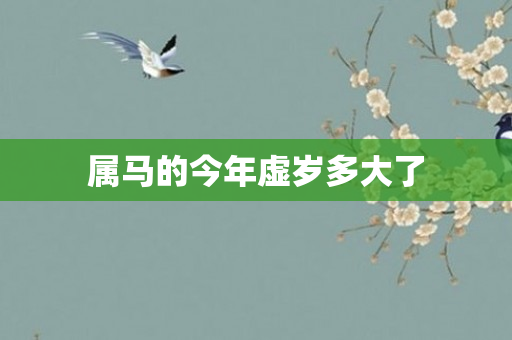 属马的今年虚岁多大了