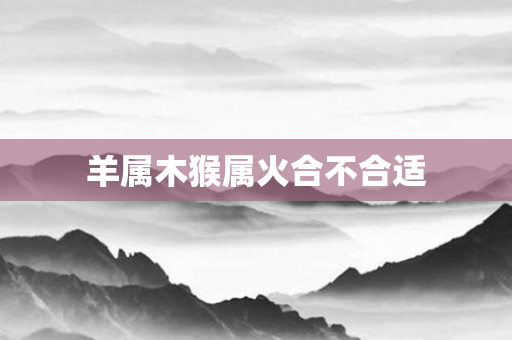 羊属木猴属火合不合适