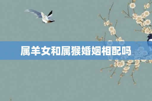 属羊女和属猴婚姻相配吗