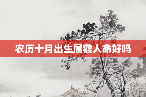 农历十月出生属猴人命好吗