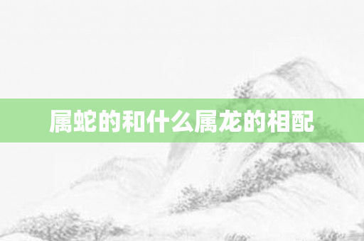属蛇的和什么属龙的相配