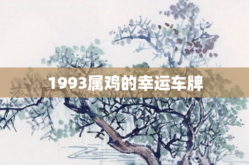 1993属鸡的幸运车牌