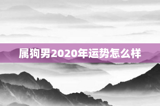 属狗男2020年运势怎么样