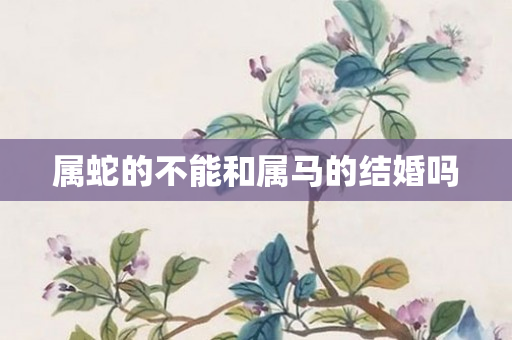 属蛇的不能和属马的结婚吗