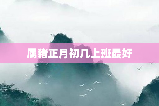 属猪正月初几上班更好