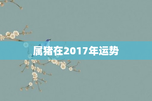 属猪在2017年运势