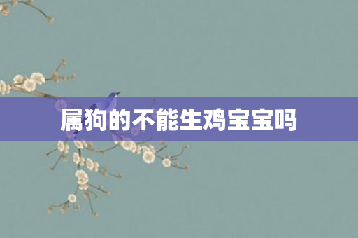 属狗的不能生鸡宝宝吗