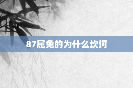87属兔的为什么坎坷