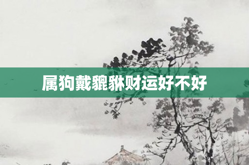 属狗戴貔貅财运好不好