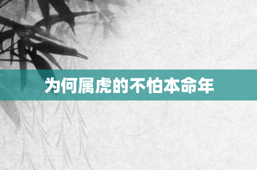 为何属虎的不怕本命年