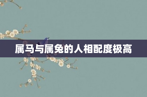 属马与属兔的人相配度极高