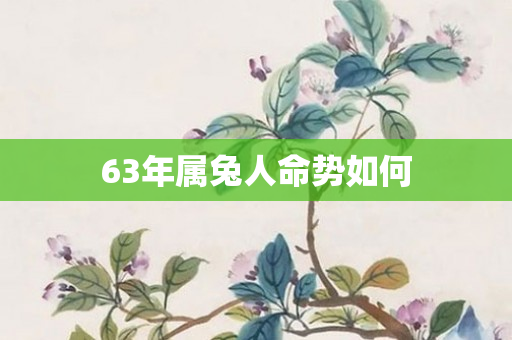 63年属兔人命势如何