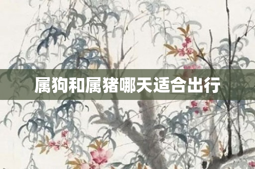 属狗和属猪哪天适合出行