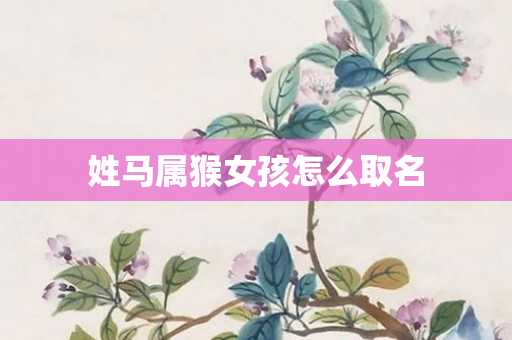 姓马属猴女孩怎么取名